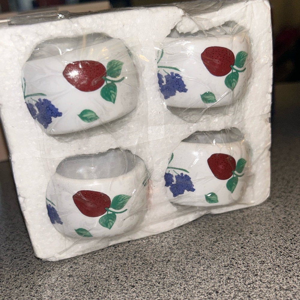 New Princess House Orchard Medley Fruit Napkin Rings Set